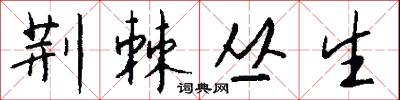 荆棘丛生怎么写好看