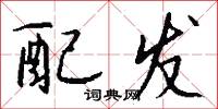 配发怎么写好看