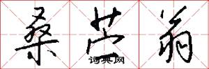 桑苎翁怎么写好看