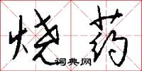 烧药怎么写好看