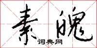 素魄怎么写好看