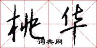 桃华怎么写好看