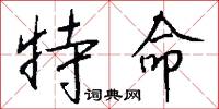 特命怎么写好看