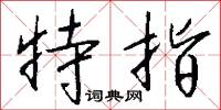特指怎么写好看