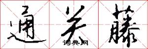 通关藤怎么写好看