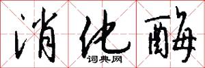 消化酶怎么写好看