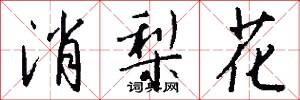 消梨花怎么写好看
