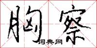 胸察怎么写好看