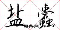 盐蠹怎么写好看