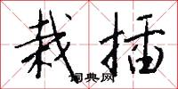 栽插怎么写好看