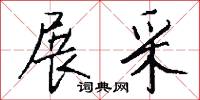 展采怎么写好看
