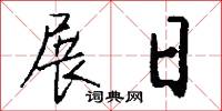 展日怎么写好看