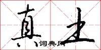 真土怎么写好看