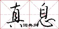 真息怎么写好看