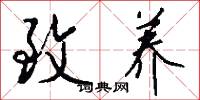 致养怎么写好看
