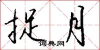 捉月怎么写好看