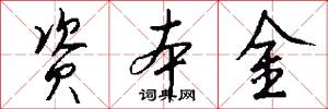资本金怎么写好看