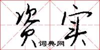 资实怎么写好看