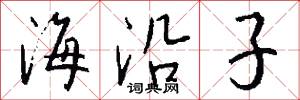 海沿子怎么写好看