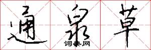 通泉草怎么写好看
