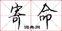 寄命怎么写好看