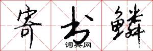 寄书鳞怎么写好看