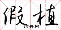 假植怎么写好看