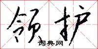领护怎么写好看