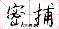 密捕怎么写好看