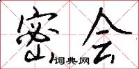密会怎么写好看