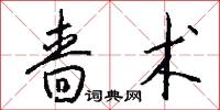 啬术怎么写好看