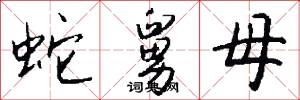 蛇舅母怎么写好看