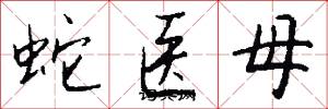 蛇医母怎么写好看