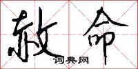 赦命怎么写好看