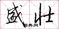 盛壮怎么写好看