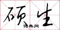 硕生怎么写好看