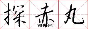 探赤丸怎么写好看