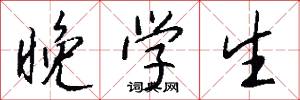 晚学生怎么写好看