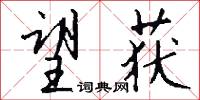 望获怎么写好看