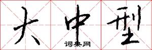 大中型怎么写好看