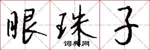 眼珠子怎么写好看