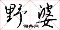 野婆怎么写好看
