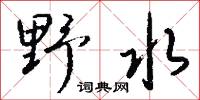 野水怎么写好看