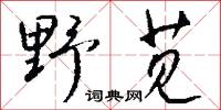 野苋怎么写好看