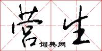 营生怎么写好看