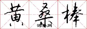 黄桑棒怎么写好看
