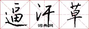 逼汗草怎么写好看