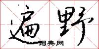 遍野怎么写好看