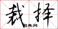 裁择怎么写好看