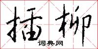 插柳怎么写好看